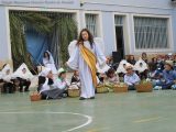 My Gallery (15/172)